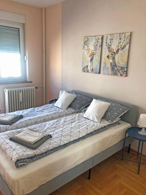 Quince Apartment-Free Parking-City Center بلغراد المظهر الخارجي الصورة